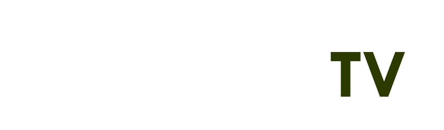 Xuyên Không Thành Nhân Vật Phản Diện đại Thiếu Gia - vũng tàu ăn gì